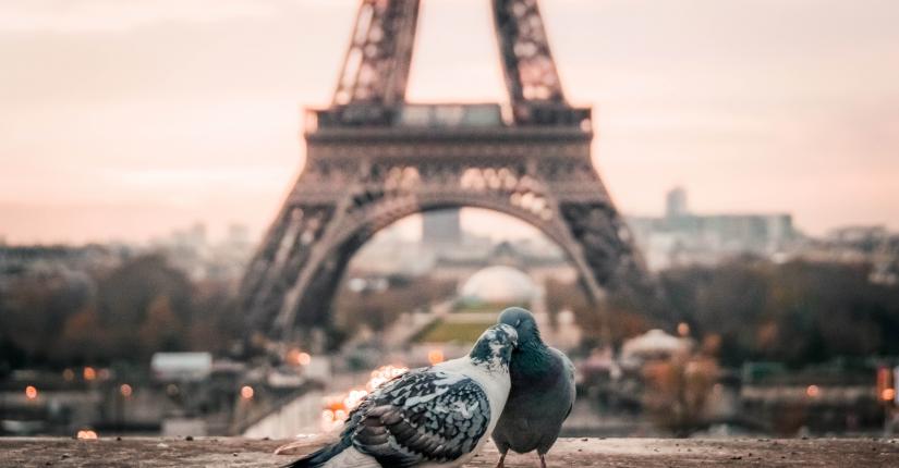 Drawing Hotel - Paris - Eiffel Tower